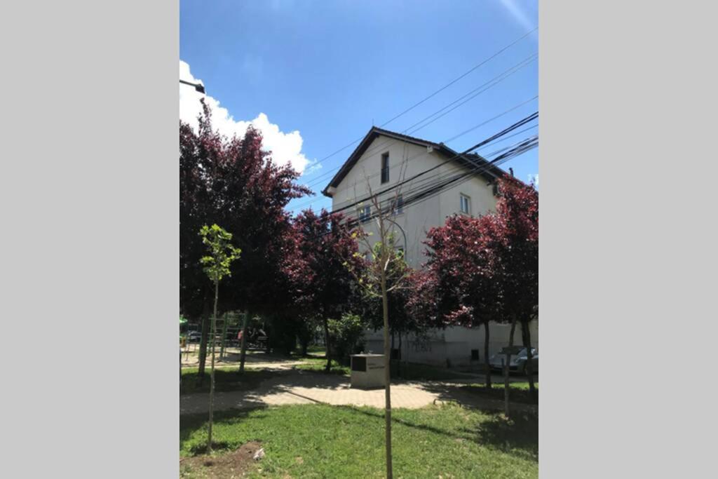Cozy Apartment In The Old Center Of Prishtina Pristina Extérieur photo